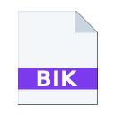 .BIK icon